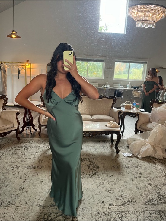 Birdy Grey Dresses & Skirts - Birdy Grey Eucalyptus Matte Satin Veronica Dress